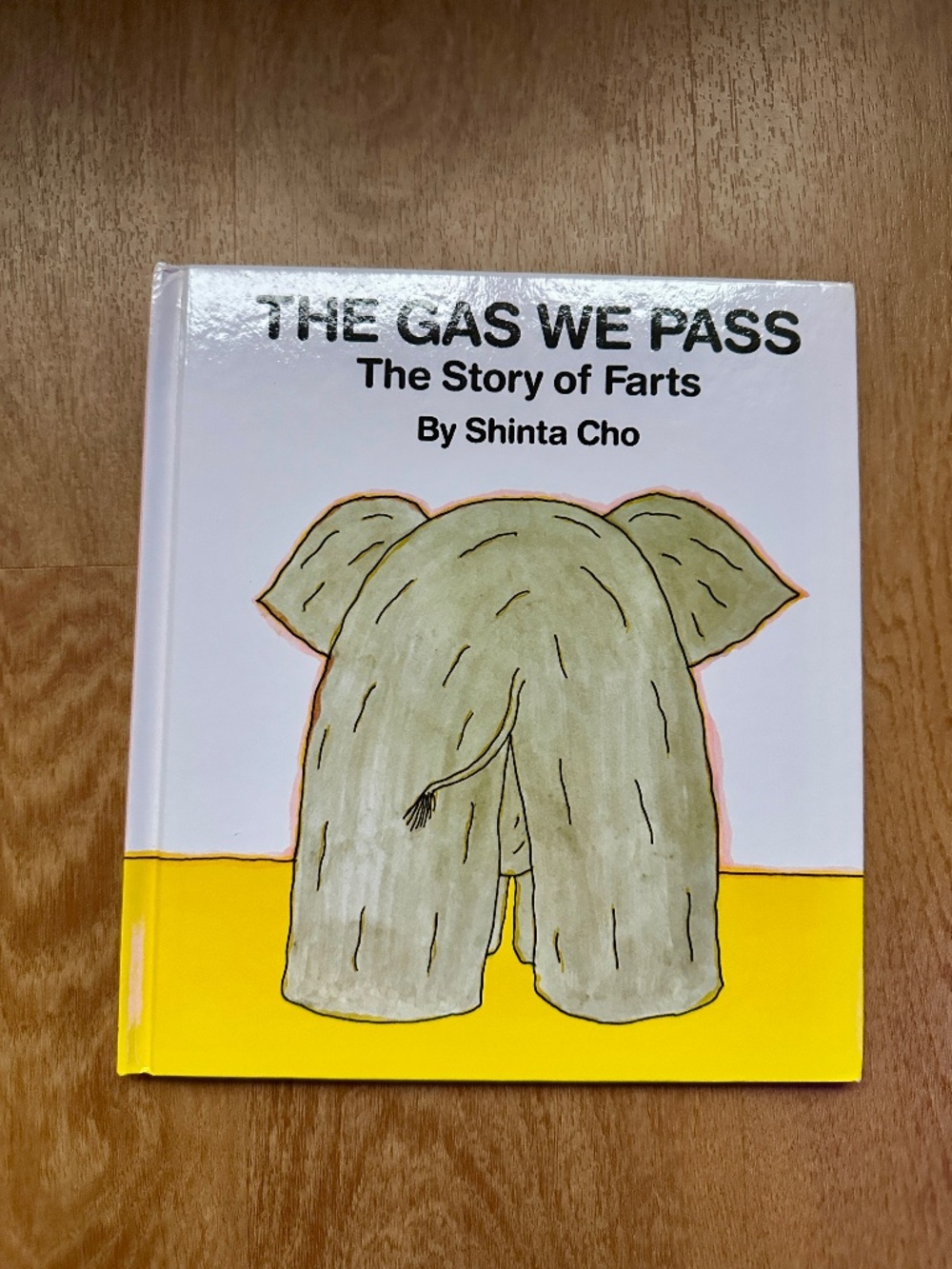 The Gas We Pass Children’s Book - New